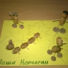 Превращения желудя Превращения желудя