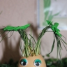 "веселый огород" "веселый огород"