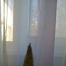 Елочка лесная, золотом покрыта.... Елочка лесная, золотом покрыта....