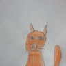 Рыжий кот Рыжий кот