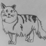 Длинношерстная кошка Длинношерстная кошка