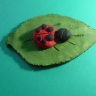 Божья коровка Божья коровка