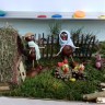 У бабушки в деревне У бабушки в деревне