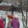 кормушка для пернатых кормушка для пернатых