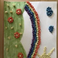 Летняя Радуга