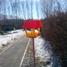 бабочки бабочки