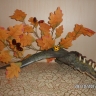 Жёлуди да грибочки Жёлуди да грибочки