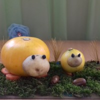 Бегемотики Бегемотики