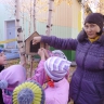 Подкармливаем птиц Подкармливаем птиц