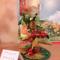 Ветка рябины Ветка рябины