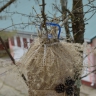 Зимний домик для пернатых Зимний домик для пернатых