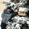 Кормушка для пичужки Кормушка для пичужки