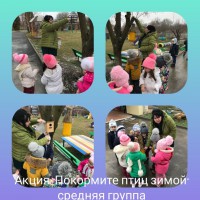 Покормите птиц зимой!!! Покормите птиц зимой!!!