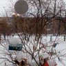 Наши птички зимой- не голодают. Наши птички зимой- не голодают.