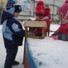 Столовая для птиц Столовая для птиц