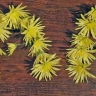 МААМ - это позитив МААМ - это позитив