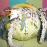 "Осенняя корзина" "Осенняя корзина"