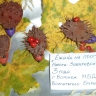 Ежики на прогулке Ежики на прогулке