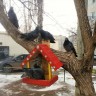 Домик для птиц Домик для птиц