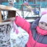 «Кормушка для пичужки»" «Кормушка для пичужки»"