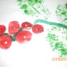 веточка смородины веточка смородины