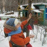 Столовая для птичек Столовая для птичек