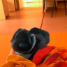 Букет из пластелина Букет из пластелина
