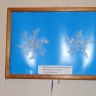 DSCN0340.jpg