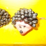 "Ёжик" "Ёжик"