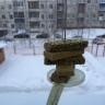 Экологическая кормушка для птичек "Лакомство для пернатых" по теме "Зимующие птицы нашего края" Экологическая кормушка для птичек "Лакомство для пернатых" по теме "Зимующие птицы нашего края"