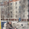 Голуби Голуби