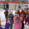 Наша птичья столовая Наша птичья столовая