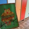 Совушка Совушка