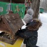 Кормушка для пичужки Кормушка для пичужки