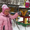 Кормушка "Кусочек лета" Кормушка "Кусочек лета"