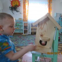 кормушка для пичужки кормушка для пичужки