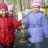 Кормушечка для пичужки Кормушечка для пичужки