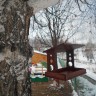 Столовая для синичек Столовая для синичек