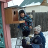 скворечник- кормушка скворечник- кормушка