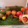 гусеница гусеница