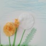 Одуванчики Одуванчики