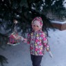 Кафе для птиц Кафе для птиц