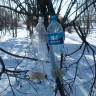 Кормушка из пластиковых 1,5 литровых бутылок Кормушка из пластиковых 1,5 литровых бутылок