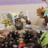 Ежик на полянке Ежик на полянке
