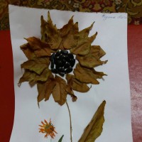 Подсолнух Подсолнух