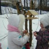 Птичья столовая. Птичья столовая.