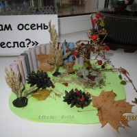 "Осенний лес" "Осенний лес"