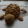 Скорее к морю... Скорее к морю...