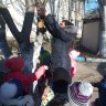 кормушка для синички кормушка для синички