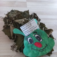 Осенняя гусеница